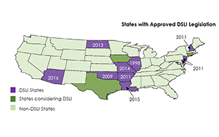 Understanding Domestic Surplus Lines Insurers (DSLI)